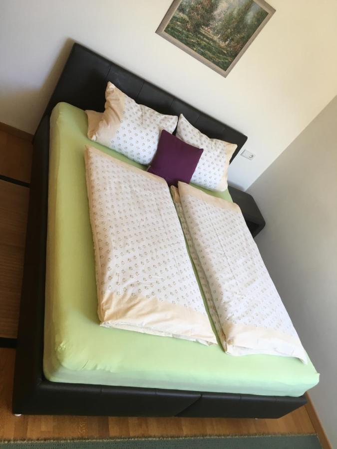 Apartment Kaprun Niedernsill Ngoại thất bức ảnh